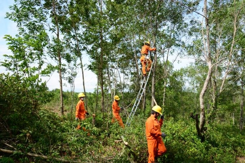 điện lực Huyện Đắk Glei