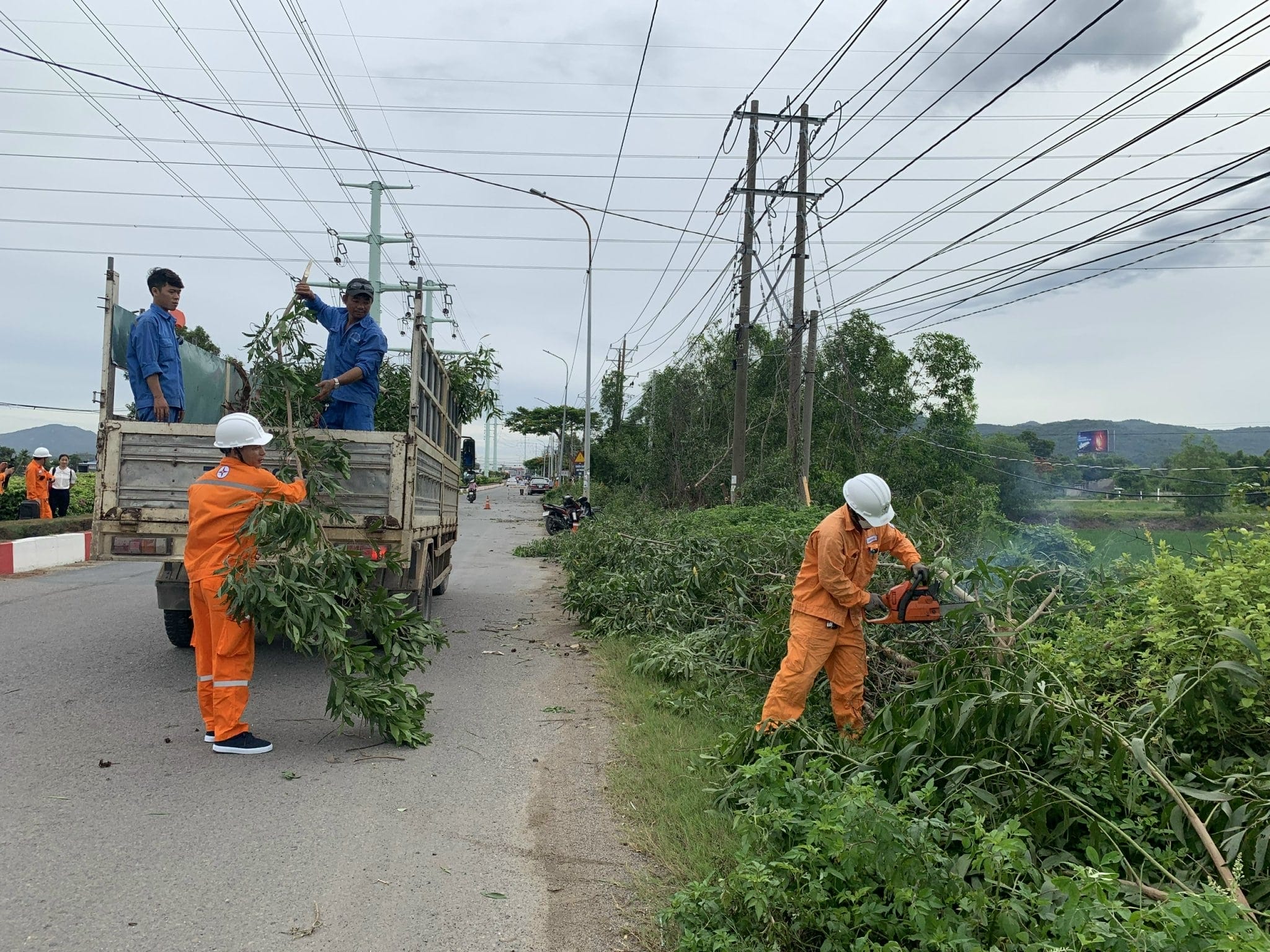 điện lực huyện cẩm mỹ