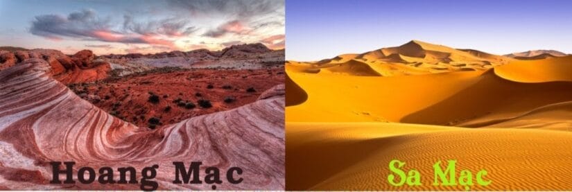 Tìm hiểu hoang mạc và sa mạc khác nhau như thế nào?