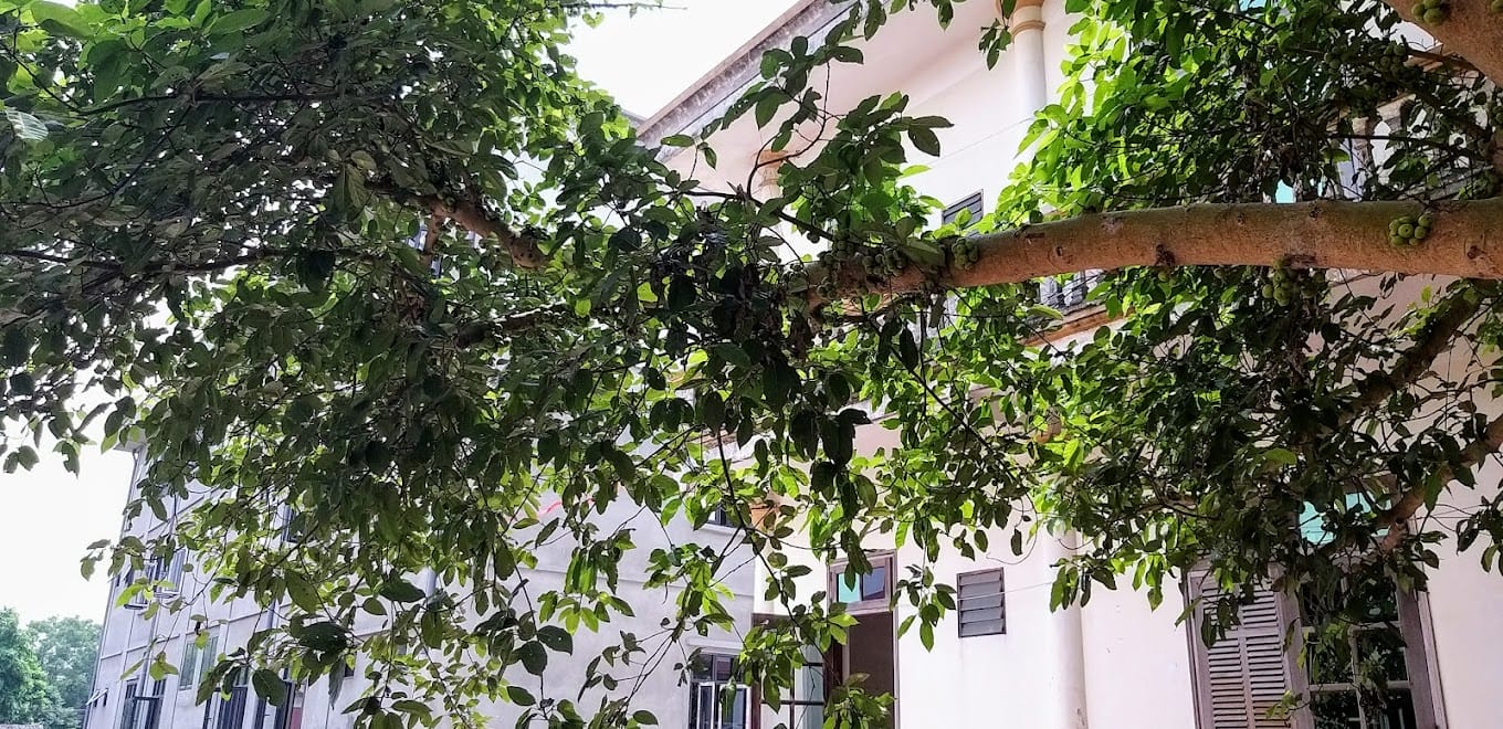 công an xã lâm thao