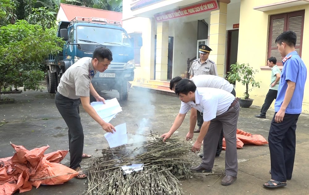 số điện thoại chi cục thi hành án dân sự huyện Xín Mần